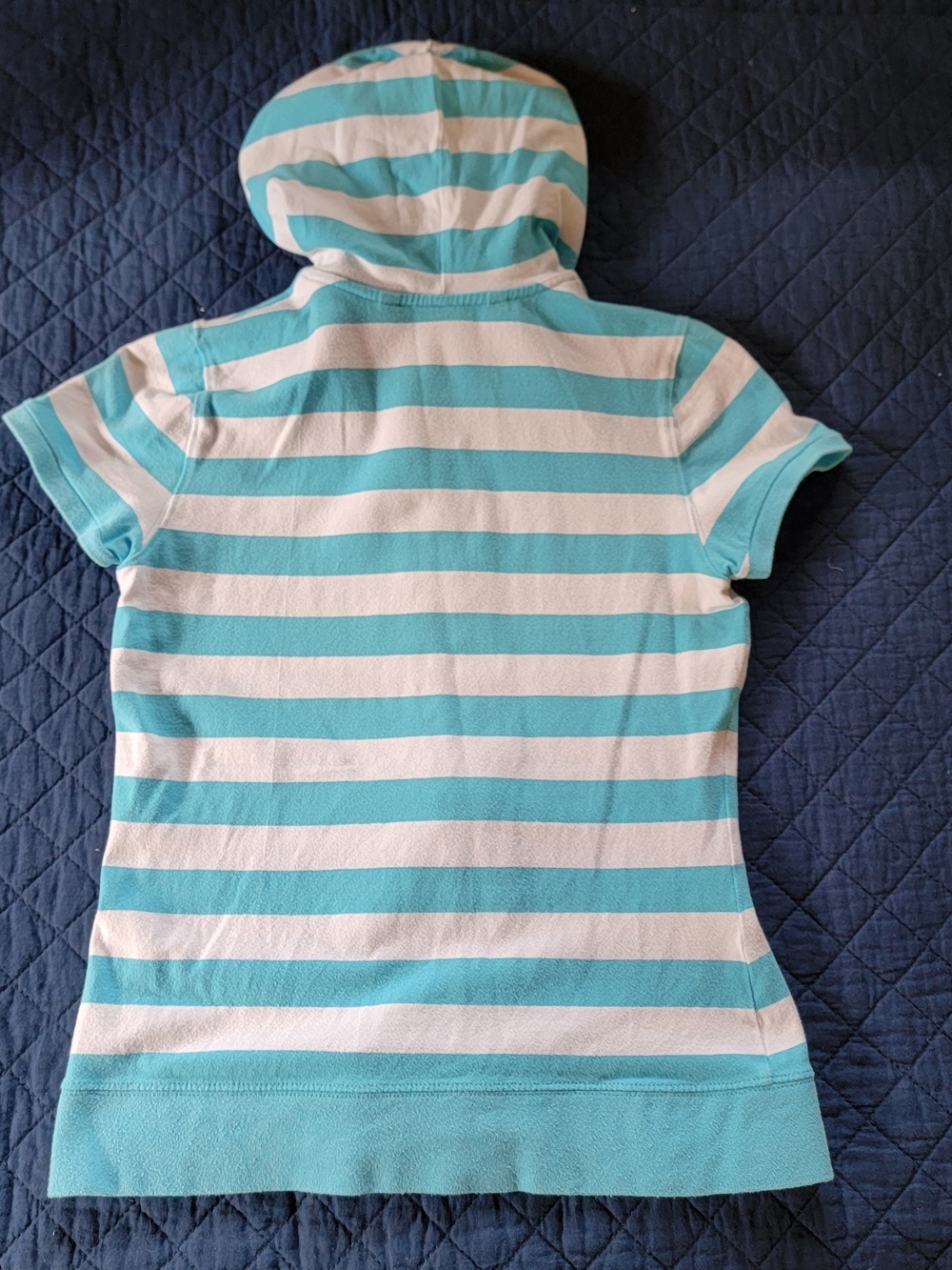 Tommy Hilfiger Turquoise & White Striped Short-Sleeve Zip Hoodie - Picture 4 of 4
